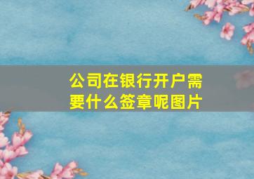 公司在银行开户需要什么签章呢图片