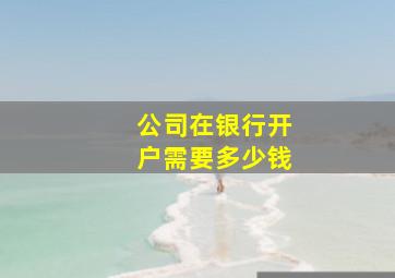 公司在银行开户需要多少钱