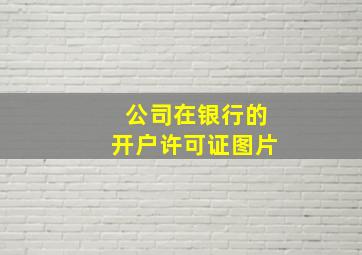 公司在银行的开户许可证图片