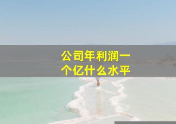 公司年利润一个亿什么水平