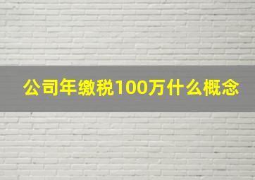 公司年缴税100万什么概念