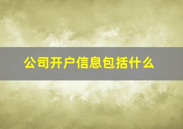 公司开户信息包括什么