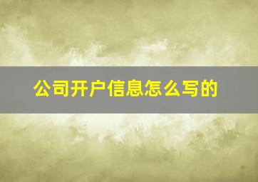 公司开户信息怎么写的