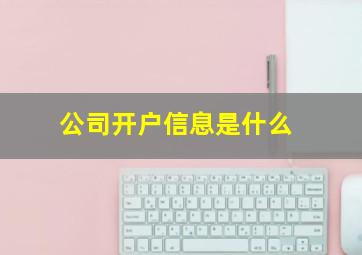 公司开户信息是什么