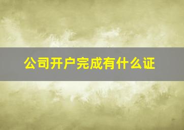 公司开户完成有什么证