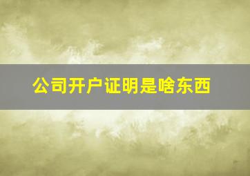 公司开户证明是啥东西