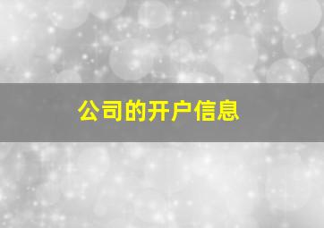 公司的开户信息