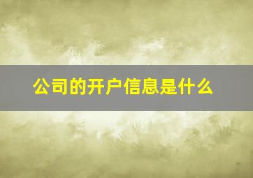 公司的开户信息是什么