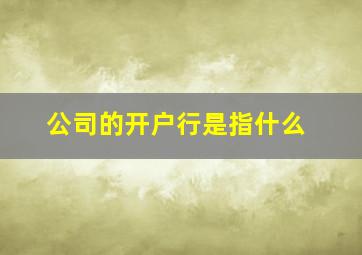 公司的开户行是指什么