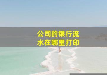 公司的银行流水在哪里打印