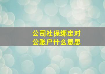 公司社保绑定对公账户什么意思