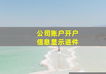 公司账户开户信息显示进件