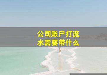 公司账户打流水需要带什么