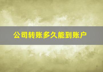 公司转账多久能到账户