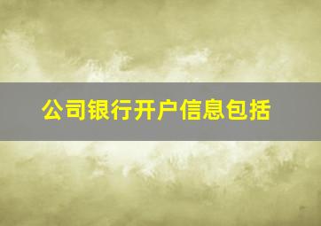 公司银行开户信息包括