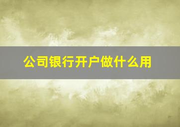 公司银行开户做什么用