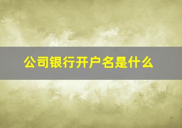 公司银行开户名是什么