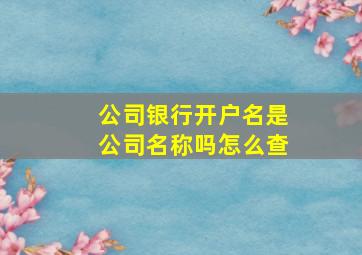 公司银行开户名是公司名称吗怎么查