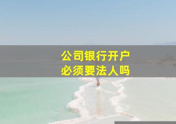 公司银行开户必须要法人吗