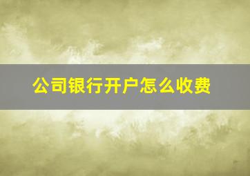 公司银行开户怎么收费