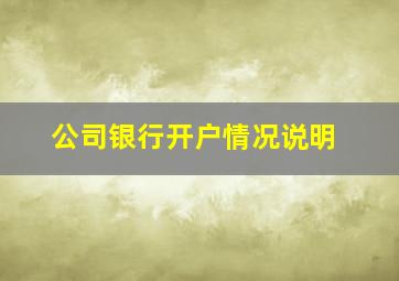 公司银行开户情况说明