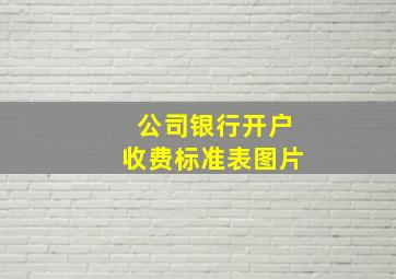 公司银行开户收费标准表图片