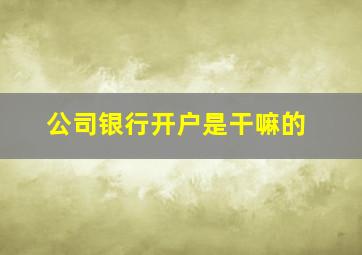 公司银行开户是干嘛的