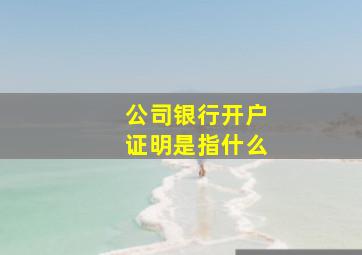 公司银行开户证明是指什么