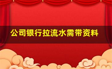 公司银行拉流水需带资料