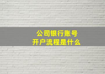 公司银行账号开户流程是什么