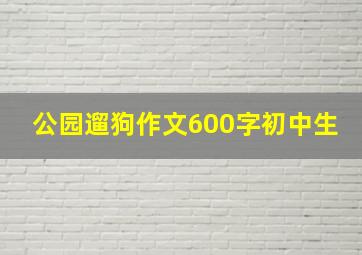 公园遛狗作文600字初中生