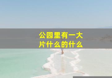 公园里有一大片什么的什么