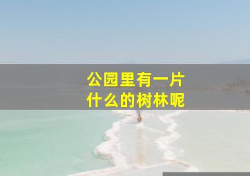 公园里有一片什么的树林呢