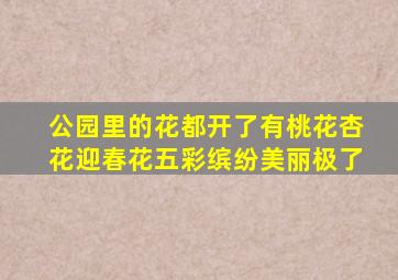 公园里的花都开了有桃花杏花迎春花五彩缤纷美丽极了