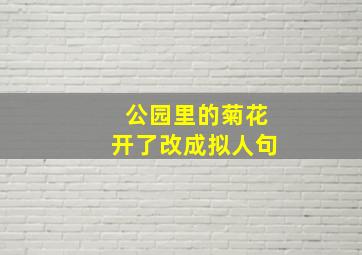 公园里的菊花开了改成拟人句