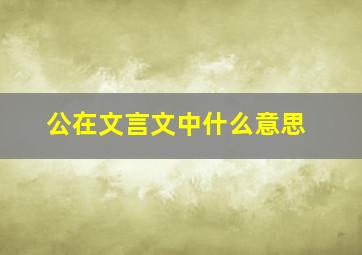 公在文言文中什么意思