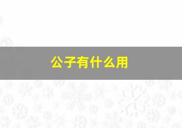 公子有什么用