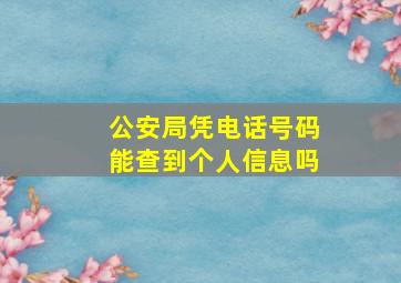 公安局凭电话号码能查到个人信息吗