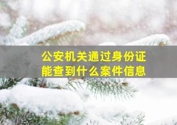 公安机关通过身份证能查到什么案件信息