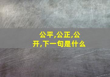 公平,公正,公开,下一句是什么