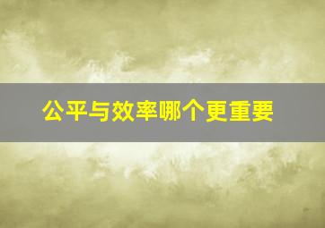 公平与效率哪个更重要