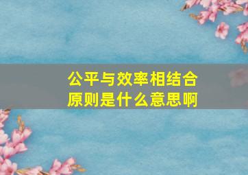 公平与效率相结合原则是什么意思啊