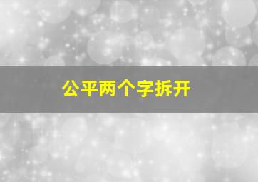 公平两个字拆开