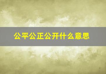 公平公正公开什么意思