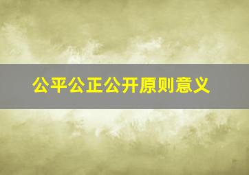 公平公正公开原则意义