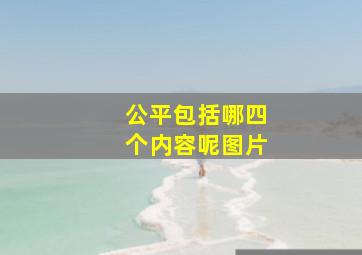 公平包括哪四个内容呢图片