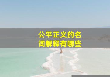 公平正义的名词解释有哪些