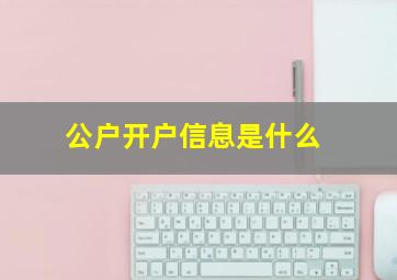 公户开户信息是什么