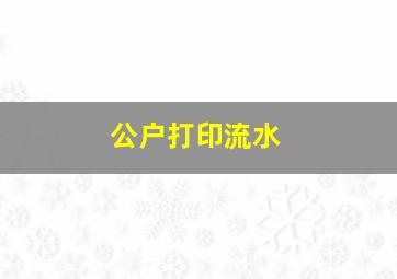 公户打印流水