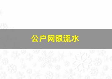 公户网银流水